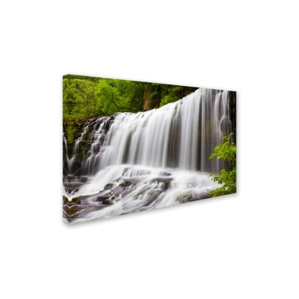 Robert Harding Picture Library 'Waterfall 21' Canvas Art,12x19